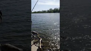 Клюет😃🐟