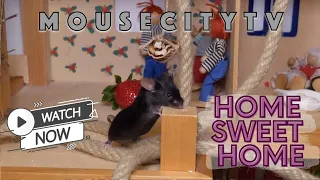 Home Sweet Home - MouseCityQuickTV