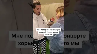 Подарили хорька на концерте Анет Сай 😱😱😱 #анетсай