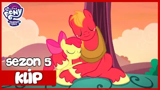 Big Mac Mówi o Swoich Uczuciach | My Little Pony | Sezon 5 | Odcinek 17 | Siostrzany Turniej