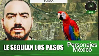 Así cazó la Sedena al 'Cholo Iván' en Sinaloa