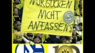 Kämpfen für Borussia Dortmund.