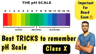 Tricks to remember Colour of pH Scale | Class 10 | Acids bases and salts