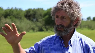 Demostración de fertilización sobre campo natural realizada en la Colonia Juan Gutíerrez