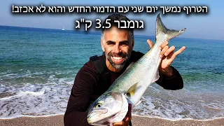 דייג גומבר גדול 3.5 ק"ג על הדמוי החדש שמככב בז'רז'ור הטרוף נמשך - דייג בישראל