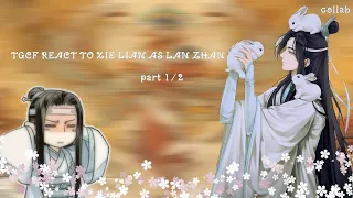 TGCF react to Xie Lian as Lan Zhan ½ 🇺🇲