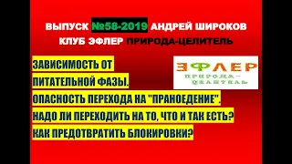 58. ВНУТРЕННИЙ ЭФИРНЫЙ СИНТЕЗ. ПЕРЕХОД НА ПРАНУ.