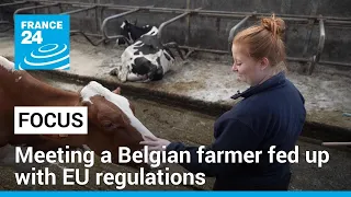 European elections: Meeting a Belgian farmer fed up with EU regulations • FRANCE 24 English