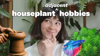 Houseplant Adjacent Hobbies You Should Try!