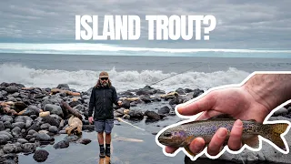 We Found Trout in the Middle of the Ocean - Tenkara Fly Fishing Azores Part 1