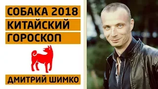 Гороскоп Собака -2018. Астротиполог, Нумеролог - Дмитрий Шимко