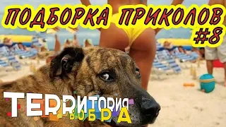 ЛУЧШИЕ ПРИКОЛЫ ЗА НЕДЕЛЮ ПРИКОЛЫ 2018 НОЯБРЬ ЛУЧШИЕ СМЕШНЫЕ ПРИКОЛЫ ПОДБОРКА #8