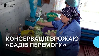 «Сади Перемоги»: у громаді на Черкащині зібрали 11 тонн кабачків