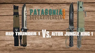 Aitor Jungle King I Vs  Rui Thunder I