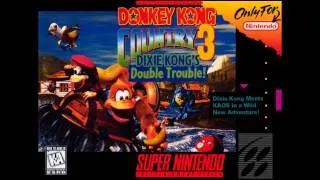 SNES: Donkey Kong Country 3: Boss Boogie: Sega Genesis/MegaDrive Cover/Remix