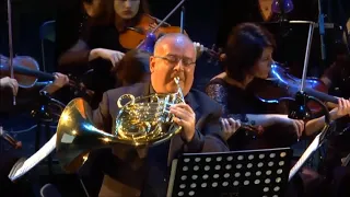 W.A. Mozart 4 Hornkonzert k 495 Alberto Cappiello Belarusan Festival Orchestra