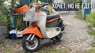 HONDA GIORNO. ЧИХАЕТ, ГРЕЕТСЯ, НЕ ЕДЕТ!