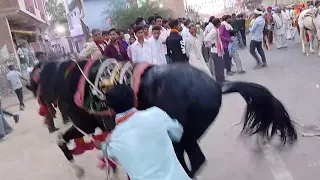 घोड़ा डांस ghoda dance