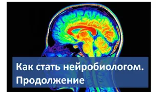 Как стать нейробиологом. Продолжение. Ответы на вопросы