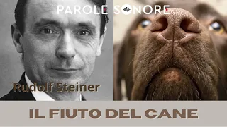 Rudolf Steiner - IL FIUTO DEL CANE - Parole Sonore