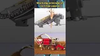 Working Principle of Corn Harvester #Shorts