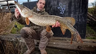 Fishing in Holland - the pike