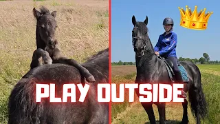 Let's go outside and play | Riding Queen👑Uniek, Dieuwke is a bit strange | Friesian Horses