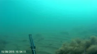 Подводная охота в Абхазии. Кефаль.