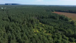 В Лидском районе введен запрет на посещение лесов