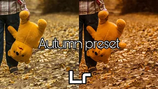 Autumn Preset - Lightroom Mobile Presets | Fall Preset | Autumn Filter | Autumn Photo Editing