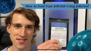 How to Feed Your Pet Jellyfish With JellyFuel