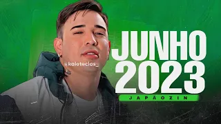 JAPÃOZIN JUNHO 2023 ARRAIA PRA PAREDÃO - (MÚSICAS NOVAS) cd novo