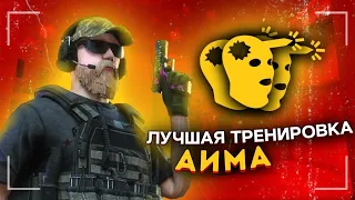 КАК Я ТРЕНИРУЮ СВОЙ АИМ ПЕРЕД ПРАКАМИ🎯 | Standoff 2