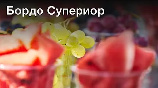 Энциклопедия вина: Бордо Супериор