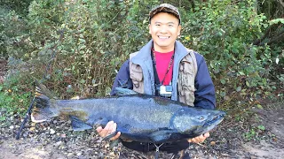 Epic Battle With Monster King Salmon