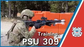 Coast Guard PSU 309 training