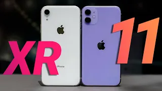 iPhone 11 vs iPhone XR в 2022 году — какой купить? Сравнение!