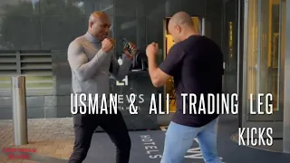 Kamaru Usman and Ali trading leg kicks outside a hotel