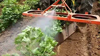 Tractor Mounted spray pump | inter cultivation | cotton spray | AGRICULTURE LIFE, Deshi juggad