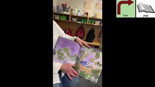 Story Time with Miss Barb - "Time for Bed"
