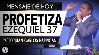 PROFETIZA Parte 1 | Pastor Juan Carlos Harrigan |