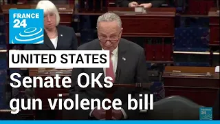 Senate OKs landmark gun violence bill, House passage is next • FRANCE 24 English
