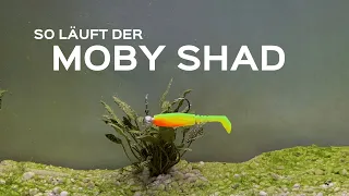 Der Moby Shad - Gummifisch zum Barschangeln, Zanderangeln und Hechtangeln