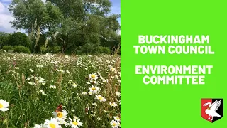 Buckingham Town Council Meeting - Environment Committee