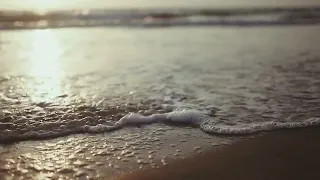 Sea Shore Sunset EasyWorship Nature Video Loop, Song, Presentation, Scripture Background