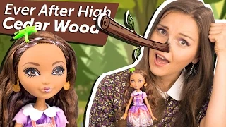 Cedar Wood Basic (Сидар Вуд Базовая) Ever After High Обзор и Распаковка  Review BDB11