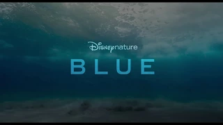 Disneynature Blue | Vanaf 2 mei in de bioscoop