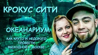 Крокус Сити ОКЕАНАРИУМ! Как НЕДОРОГО И КРУТО провести ВЫХОДНОЙ В МОСКВЕ!!!