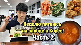 НЕДЕЛЮ ЕМ ТОЛЬКО ЕДУ НА ЗАВОДЕ! ЧЕМ КОРМЯТ НА ЗАВОДЕ В КОРЕЕ? НИКОЛАЙ ПО-КОРЕЙСКИ