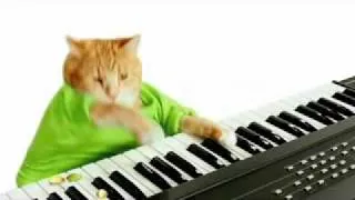 Keyboard Cat Pistachios Commercial